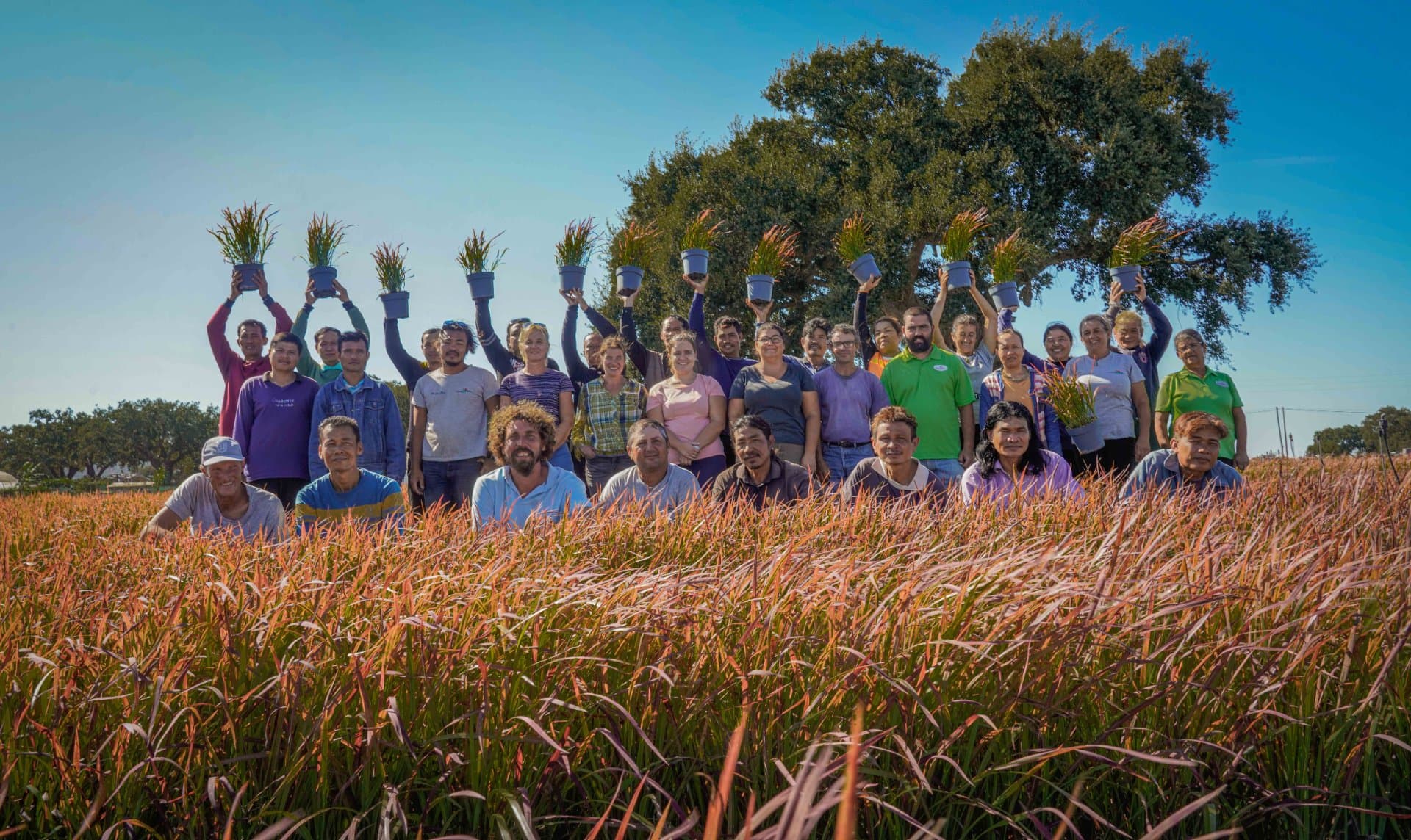 team image