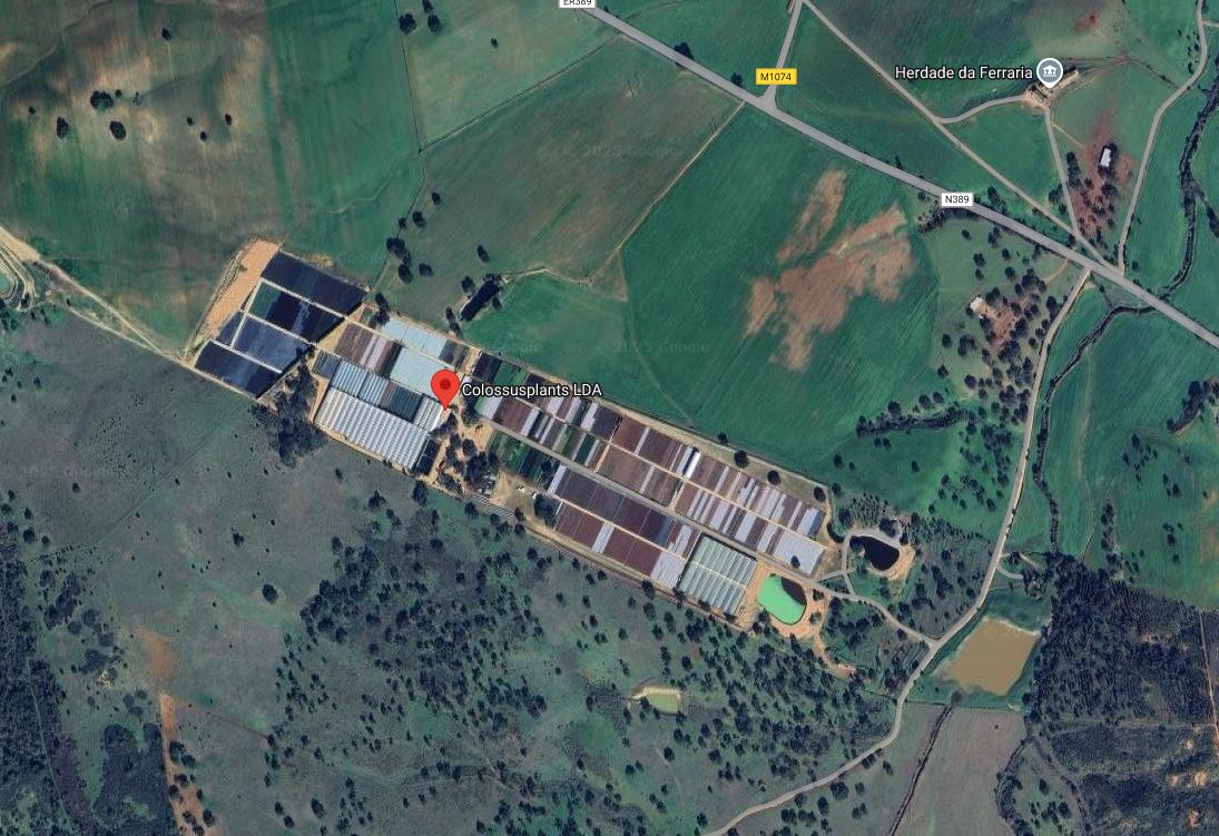 location